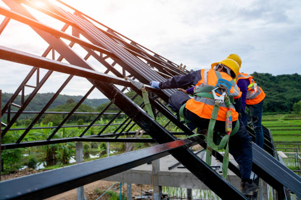 Best Storm Damage Roof Repair  in Bolivar, WV