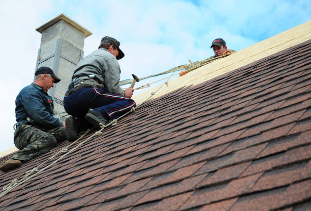 Professional Roofing Contractor in Bolivar, WV